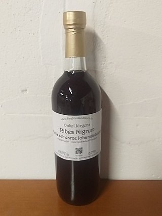 ribes nigrum